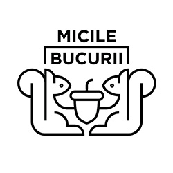 Micile Bucurii